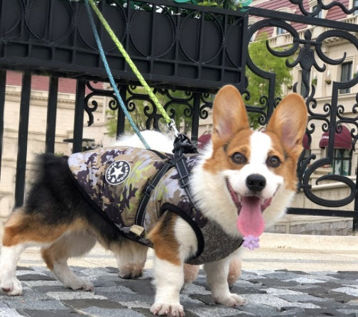 Waterproof Winter Jacket with Built-in Harness