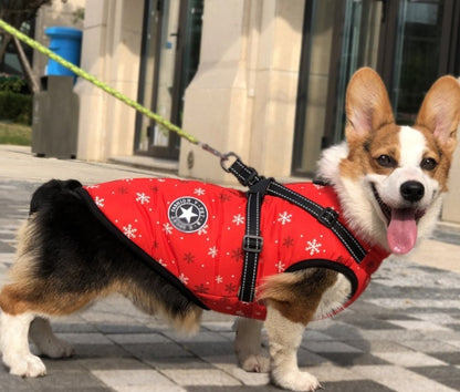 Waterproof Winter Jacket with Built-in Harness