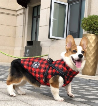 Waterproof Winter Jacket with Built-in Harness